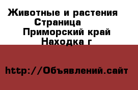  Животные и растения - Страница 11 . Приморский край,Находка г.